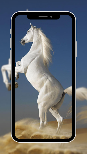 Horse Wallpapers Screenshot 3