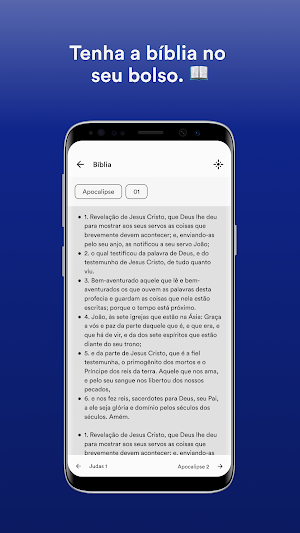 PIB Guanambi Screenshot 2