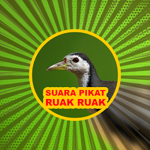 Suara Pikat Burung Ruak Ruak Jernih Screenshot 2
