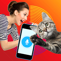 Human to cat translator