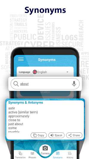 Language Translator - Idioms & Phrases Dictionary Screenshot 3