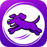 Playful Pooch