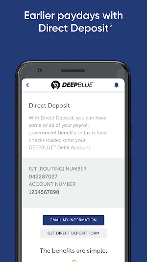 deepblueDebit Screenshot 1
