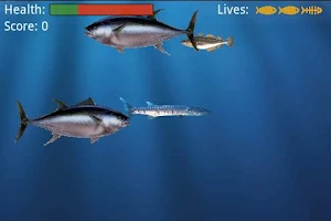 Food Chain Lite Screenshot 1