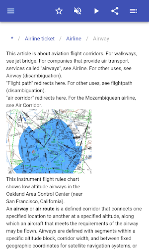 Aviation terms Screenshot 3