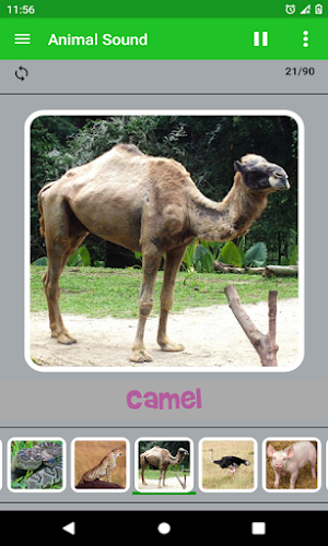 Animal Sound Screenshot 3