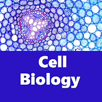 Cell Biology Quiz