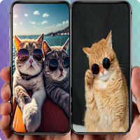 Cute Cat Wallpaper Lucu