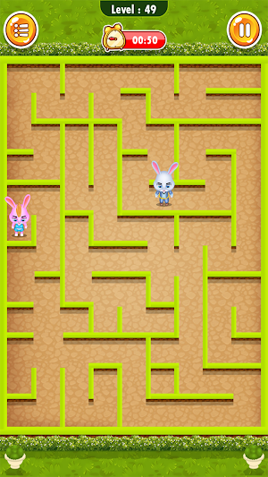 Bunny Maze Runner Screenshot 3