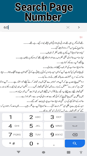 Mera Ishq Meri Zid Urdu Novel Screenshot 2