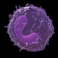 Targeting Type 2 Inflammation