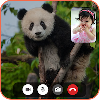 Panda Fake Video Call Prank