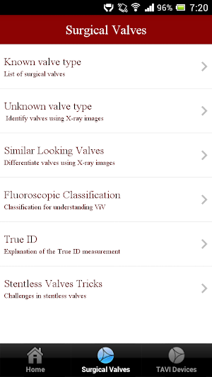 ViV Aortic Screenshot 1