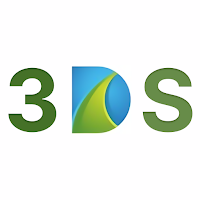 3DS