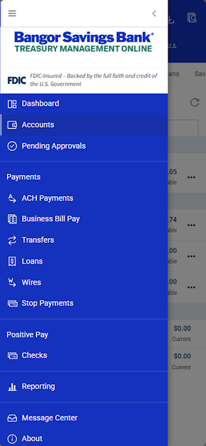 Bangor Treasury Management Screenshot 1
