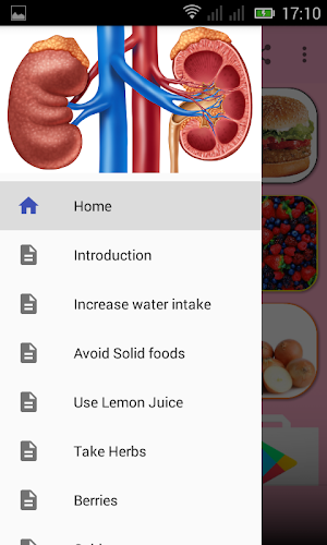 Kidney Cleanser Screenshot 0