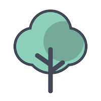 Canopy