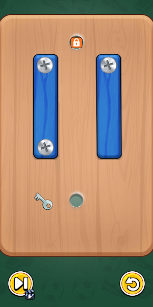 Puzzle Screw screenshot 5
