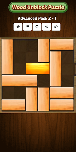 Unblock Wood Puzzle Games 2021 Screenshot 3