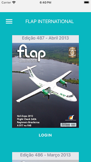 Flap International Screenshot 1