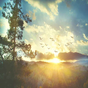 Sunrise Wallpaper Terbaru Screenshot 2