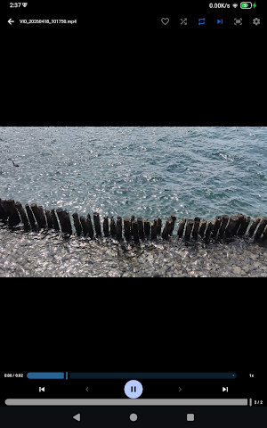 Flipiclo - GIF, Image & Video Screenshot 2