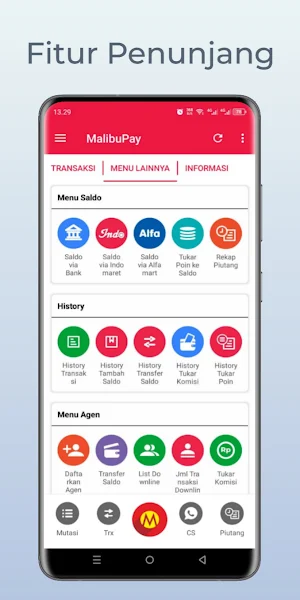 MalibuPay Screenshot 3