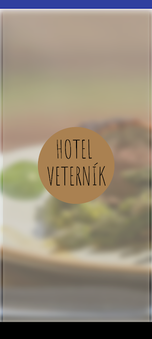 Pizza Veterník Screenshot 3