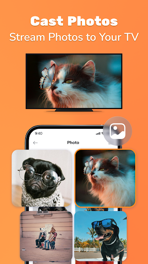 Cast to TV: Cast Web, Video Screenshot 3