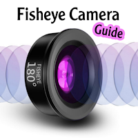 fisheye camera guide
