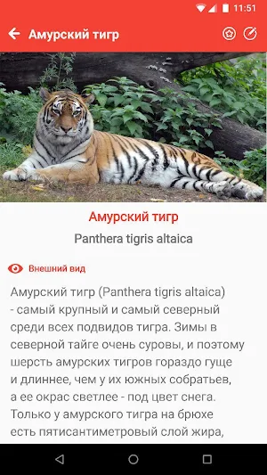 Животные Красной книги России Screenshot 3