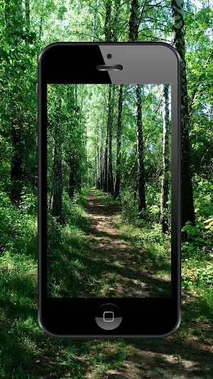 Forest Wallpapers and Backgrounds Screenshot 3