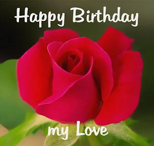 Happy Birthday Images 2023 Screenshot 2