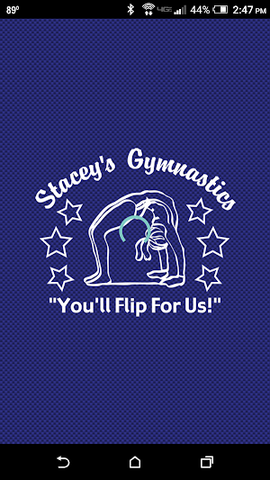 Stacey's Gymnastics Screenshot 0
