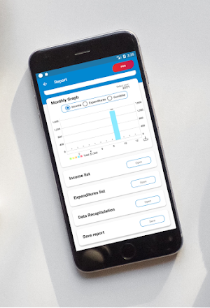 Financial Records - budget Screenshot 2