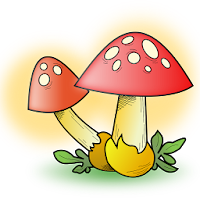 Mushrooms