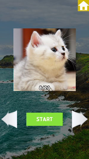 Sliding Puzzle Screenshot 0