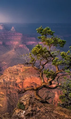 Desert Wallpapers Screenshot 0
