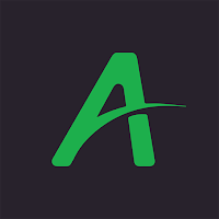 Arnott Air Helper