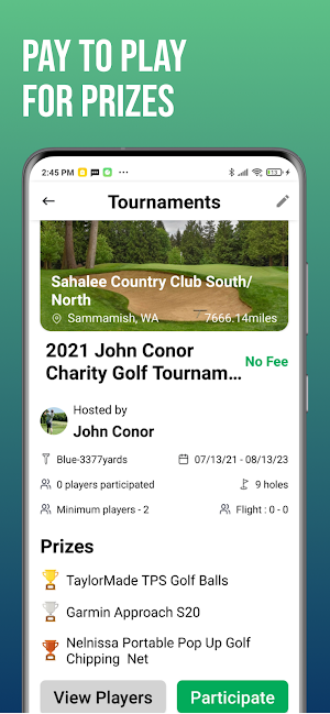 ActionGolfers Screenshot 1