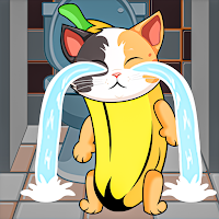 Cat Meme: Mix Banana Makeover