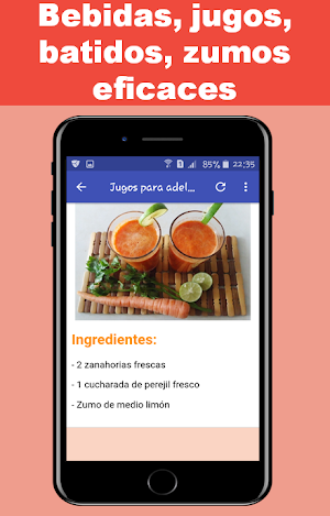 Bebidas Adelgazantes Screenshot 2