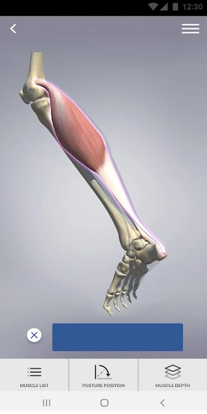 3D Spasticity Screenshot 2