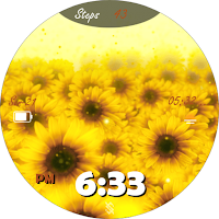 BFF38- Animation Sunflower