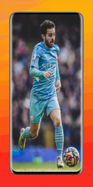Bernardo 4K Wallpaper Screenshot 0