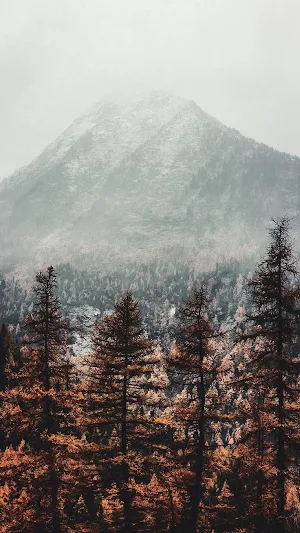 Fall Wallpapers 2022 Screenshot 2