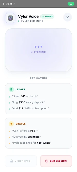 Vylor: Talk To Your Wealth Screenshot 3