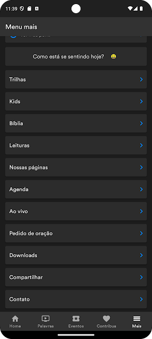 Plenadoração Pederneiras Screenshot 2