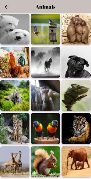 Wallcrafted – Phone Wallpapers Screenshot 3
