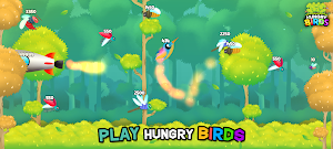 Birds Game Screenshot 0